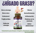 FORMULA LIVERDTOX - Image 1
